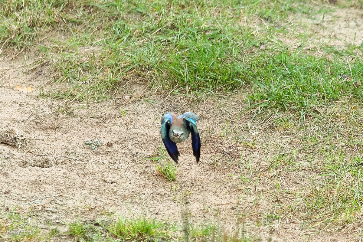 20211023 AK6I0276 insta